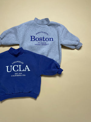 Open image in slideshow, College Fleece Sweatshirt
